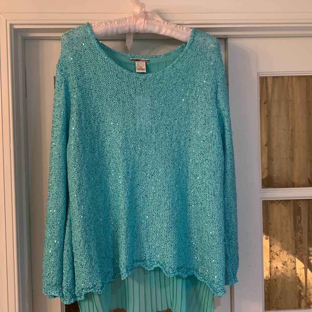 Turquoise PL Mirror Image Sweater